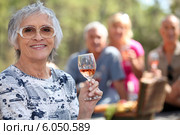 Mature couples enjoying a picnic. Стоковое фото, фотограф Phovoir Images / Фотобанк Лори