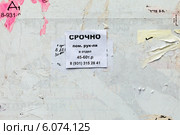 Информационный стенд с оборванными газетам и объявление поверх: "Срочно пом. рук-ля в отдел" Редакционное фото, фотограф Vladimir Sviridenko / Фотобанк Лори