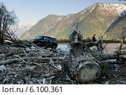 Горный Алтай, авто туризм, Южный берег Телецкого озера (2014 год). Стоковое фото, фотограф макаров виктор / Фотобанк Лори
