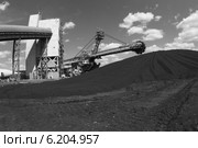 Крутонаклонный консольный штабелер на гусеничном ходу для перевалки угля (2014 год). Редакционное фото, фотограф Валерий Акулич / Фотобанк Лори
