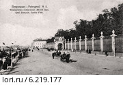 Французская набережная. Летний сад в Санкт-Петербурге. Россия. Стоковое фото, фотограф Юрий Кобзев / Фотобанк Лори
