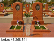Беслан. Неразлучные (2012 год). Редакционное фото, фотограф Владимир Трифонов / Фотобанк Лори