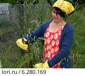 Woman working in the garden. Стоковое фото, агентство BE&W Photo / Фотобанк Лори