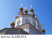Кафедральный собор Святой Троицы (2014 год). Стоковое фото, фотограф Elena Odareeva / Фотобанк Лори