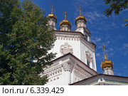 Собор Святой Троицы, Верхотурье, Свердловская область (2014 год). Стоковое фото, фотограф Elena Odareeva / Фотобанк Лори