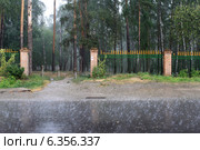 Балашихинский парк в ливень (2014 год). Стоковое фото, фотограф Дмитрий Неумоин / Фотобанк Лори