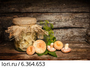 Соленые грибочки. Стоковое фото, фотограф Наталья Осипова / Фотобанк Лори