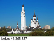 Санкт-Петербург. Церковь Святого Первоверховного Апостола Петра (2014 год). Стоковое фото, фотограф Александр Тарасенков / Фотобанк Лори