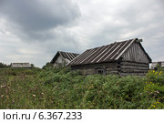Старенькая избушка в зарослях. Стоковое фото, фотограф Наталья Осипова / Фотобанк Лори