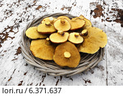 Грибы маслята (Suillus luteus) "Slippery Jack" в плетеной корзине. Стоковое фото, фотограф ElenArt / Фотобанк Лори