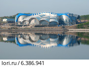Океанариум, Владивосток, остров Русский. Стоковое фото, фотограф KEN VOSAR / Фотобанк Лори