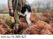 In the Countryside. Стоковое фото, агентство Ingram Publishing / Фотобанк Лори