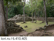 Ruins at an archaeological site, Copan, Copan Ruinas, Copan Department, Honduras (2013 год). Стоковое фото, агентство Ingram Publishing / Фотобанк Лори