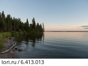 Trees at the lakeside, Lake Audy Campground, Riding Mountain National Park, Manitoba, Canada. Стоковое фото, агентство Ingram Publishing / Фотобанк Лори