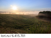 Туманное утро. Стоковое фото, фотограф Антон Каменский / Фотобанк Лори