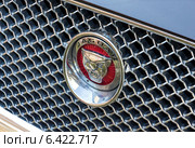 Эмблема автомобиля Jaguar на радиаторной решетке автомобиля. Редакционное фото, фотограф FotograFF / Фотобанк Лори