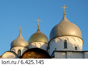 Купола Софийского Собора в Великом Новгороде (2014 год). Стоковое фото, фотограф Антон Каменский / Фотобанк Лори