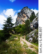 Single rock at mountain in summer. Стоковое фото, фотограф Яков Филимонов / Фотобанк Лори