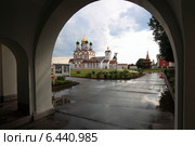 Троице-Сергиев Варницкий монастырь, вид на собор через арку (2014 год). Стоковое фото, фотограф Дмитрий Неумоин / Фотобанк Лори