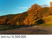 Осенний пейхаж, Карпаты. Стоковое фото, фотограф Эдуард Кислинский / Фотобанк Лори