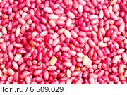 Runner beans. Стоковое фото, фотограф Александр Подшивалов / Фотобанк Лори