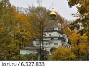 Часовня Ксении Блаженной на Смоленском кладбище в Санкт-Петербурге (2014 год). Стоковое фото, фотограф Татьяна Чепикова / Фотобанк Лори
