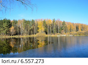 Подмосковье, город Балашиха, озеро Бабошкино (2014 год). Стоковое фото, фотограф Овчинникова Ирина / Фотобанк Лори