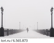 Городской мост в туманный снежный зимний день. Стоковое фото, фотограф Елена Кирьян / Фотобанк Лори