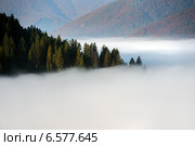 Туман в осенних горах. Карпаты. Стоковое фото, фотограф Эдуард Кислинский / Фотобанк Лори