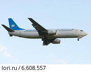 Boeing 737" (бортовой YA-PIE) авиакомпании Ariana Afghan Airlines на посадке в Шереметьеве (2014 год). Редакционное фото, фотограф Alexei Tavix / Фотобанк Лори