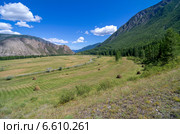 Скошенный луг со стогами сена в долине реки Чуя, Алтай. Стоковое фото, фотограф Сергей Рыбин / Фотобанк Лори