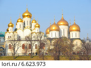 Благовещенский и Успенский соборы Московского Кремля (2014 год). Стоковое фото, фотограф Овчинникова Ирина / Фотобанк Лори