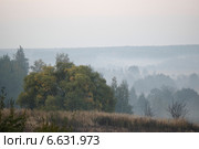Раннее утро и туман в Подмосковье, в районе Коломны (2014 год). Стоковое фото, фотограф Дмитрий Неумоин / Фотобанк Лори