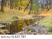 Осень в парке Ораниенбаум, река Караста (2014 год). Редакционное фото, фотограф Сергей Дубров / Фотобанк Лори