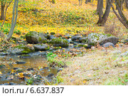 Парк Ораниенбаум. Русло реки Караста, заваленное камнями (2014 год). Редакционное фото, фотограф Сергей Дубров / Фотобанк Лори