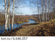 Осень на реке Уче (2014 год). Стоковое фото, фотограф Елена Коромыслова / Фотобанк Лори