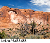 Плато Ядовитого паука. Окрестность города Моаб, штат Юта, США / Poison Spider Mesa. Around the town of Moab, Utah, USA (2014 год). Стоковое фото, фотограф Ирина Кожемякина / Фотобанк Лори