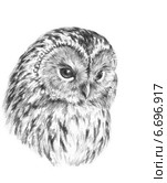 Неясыть - Tawny owl. Стоковая иллюстрация, иллюстратор Марина Ефремова / Фотобанк Лори