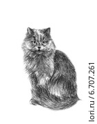 Кошка обижается - The cat resents. Стоковая иллюстрация, иллюстратор Марина Ефремова / Фотобанк Лори