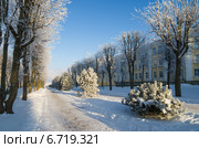 Зимний парк в Силламяэ, Эстония (2014 год). Стоковое фото, фотограф Игорь Соколов / Фотобанк Лори