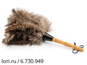 feather duster against white background. Стоковое фото, фотограф Erwin Wodicka / Фотобанк Лори