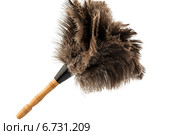 feather duster against white background. Стоковое фото, фотограф Erwin Wodicka / Фотобанк Лори