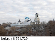 Серпухов,  Высоцкий мужской монастырь на берегу реки Нары (2014 год). Стоковое фото, фотограф Дмитрий Неумоин / Фотобанк Лори