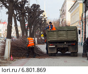 Обрезка деревьев работниками коммунальной службы в центре города Рязани (2014 год). Редакционное фото, фотограф Александр Мишков / Фотобанк Лори