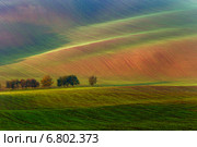 Осенние краски Южной Моравии. Стоковое фото, фотограф Андрей Лукашенко / Фотобанк Лори