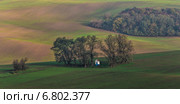 Осень в Моравии. Стоковое фото, фотограф Андрей Лукашенко / Фотобанк Лори