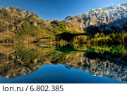 Осенние краски. Стоковое фото, фотограф Андрей Лукашенко / Фотобанк Лори