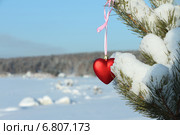 Елочный шарик в виде красного сердечка на заснеженной еловой ветке на фоне неба. Стоковое фото, фотограф Наталия Макарова / Фотобанк Лори