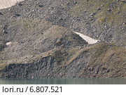 Кавказские горы. Стоковое фото, фотограф Елена Корнеева / Фотобанк Лори