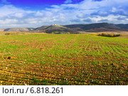 European autumn landscape. Стоковое фото, фотограф Яков Филимонов / Фотобанк Лори